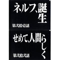 Episode 21 and Episode 22 Clear File Set Ichiban Kuji Neon Genesis Evangelion 30th Anniv Prize G [USED]