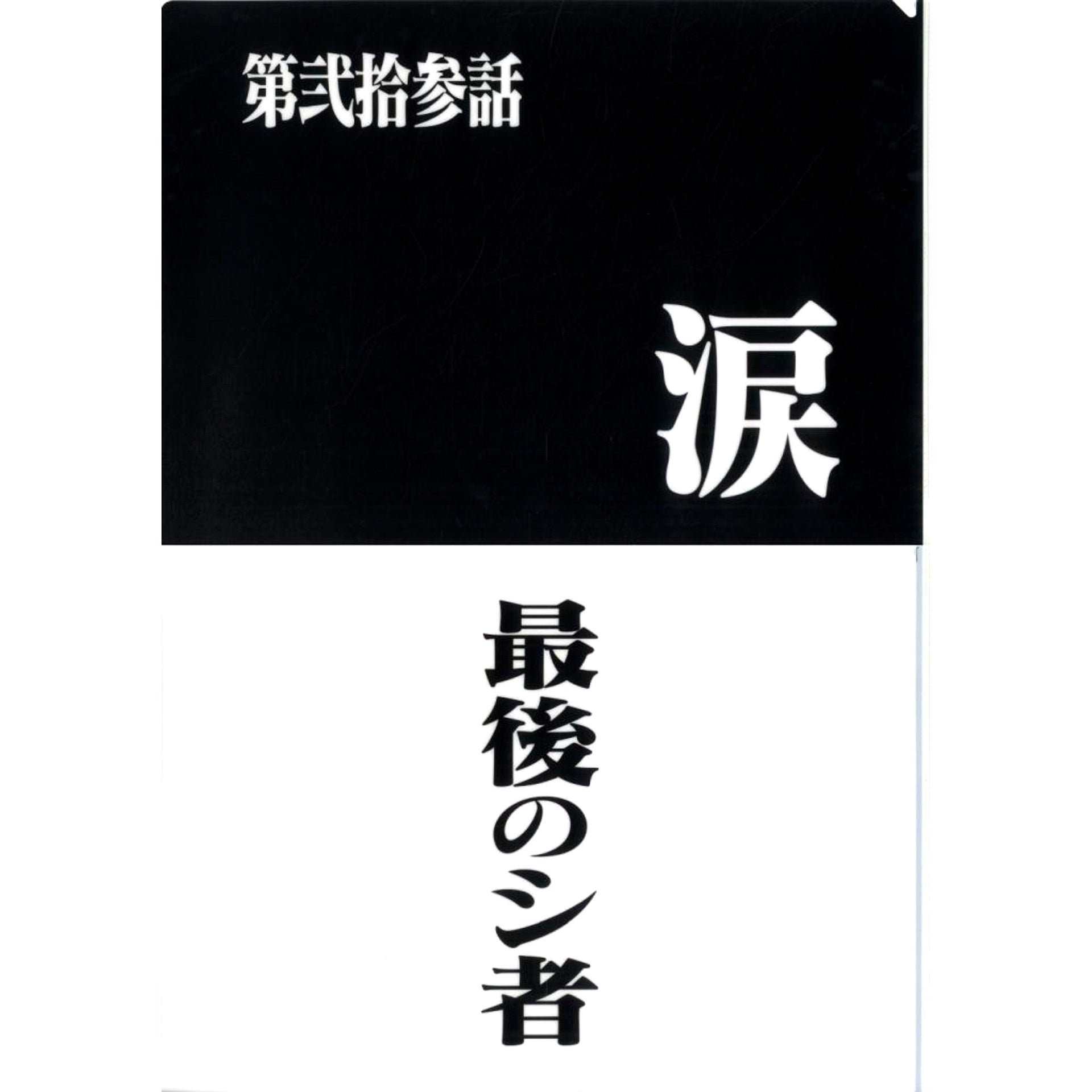 Episode 23 and Episode 24 Clear File Set Ichiban Kuji Neon Genesis Evangelion 30th Anniv Prize G [USED]