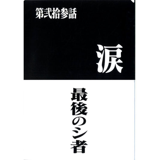 Episode 23 and Episode 24 Clear File Set Ichiban Kuji Neon Genesis Evangelion 30th Anniv Prize G [USED]