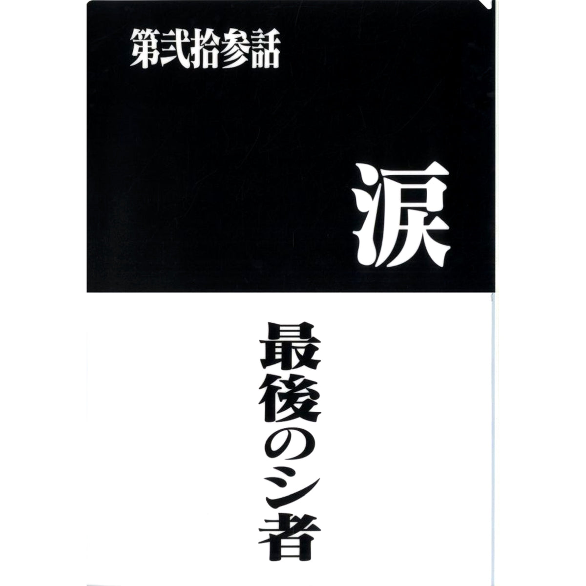 Episode 23 and Episode 24 Clear File Set Ichiban Kuji Neon Genesis Evangelion 30th Anniv Prize G [USED]