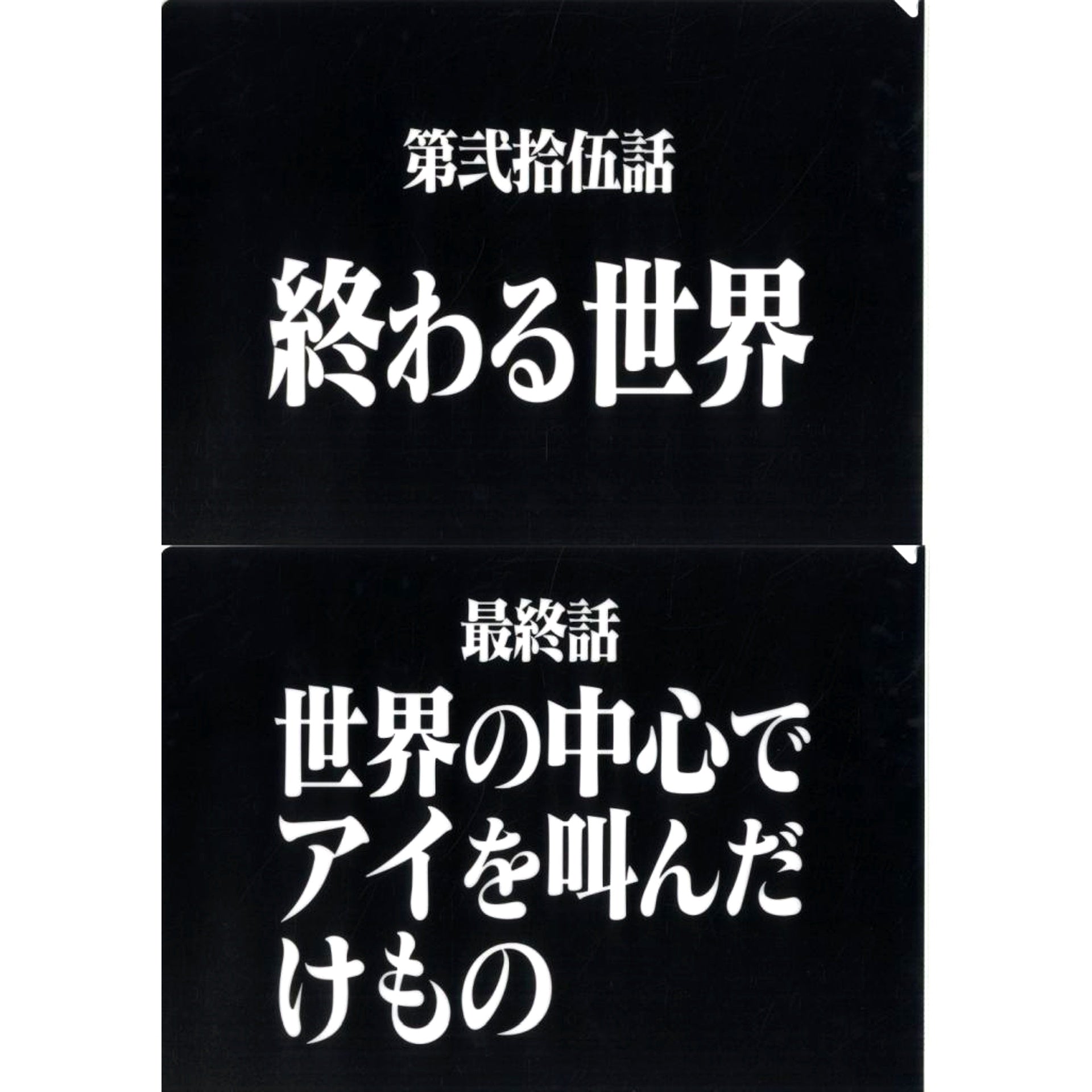 Episode 25 and Final Episode Clear File Set Ichiban Kuji Neon Genesis Evangelion 30th Anniv Prize G [USED]