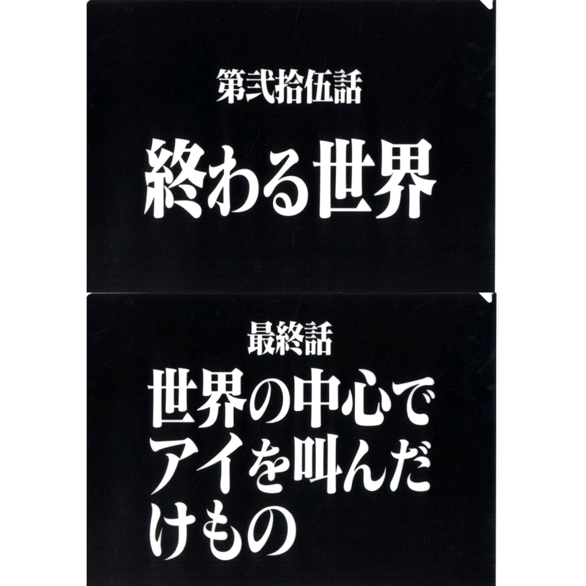 Episode 25 and Final Episode Clear File Set Ichiban Kuji Neon Genesis Evangelion 30th Anniv Prize G [USED]