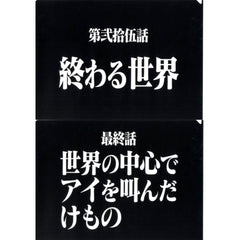 Episode 25 and Final Episode Clear File Set Ichiban Kuji Neon Genesis Evangelion 30th Anniv Prize G [USED]