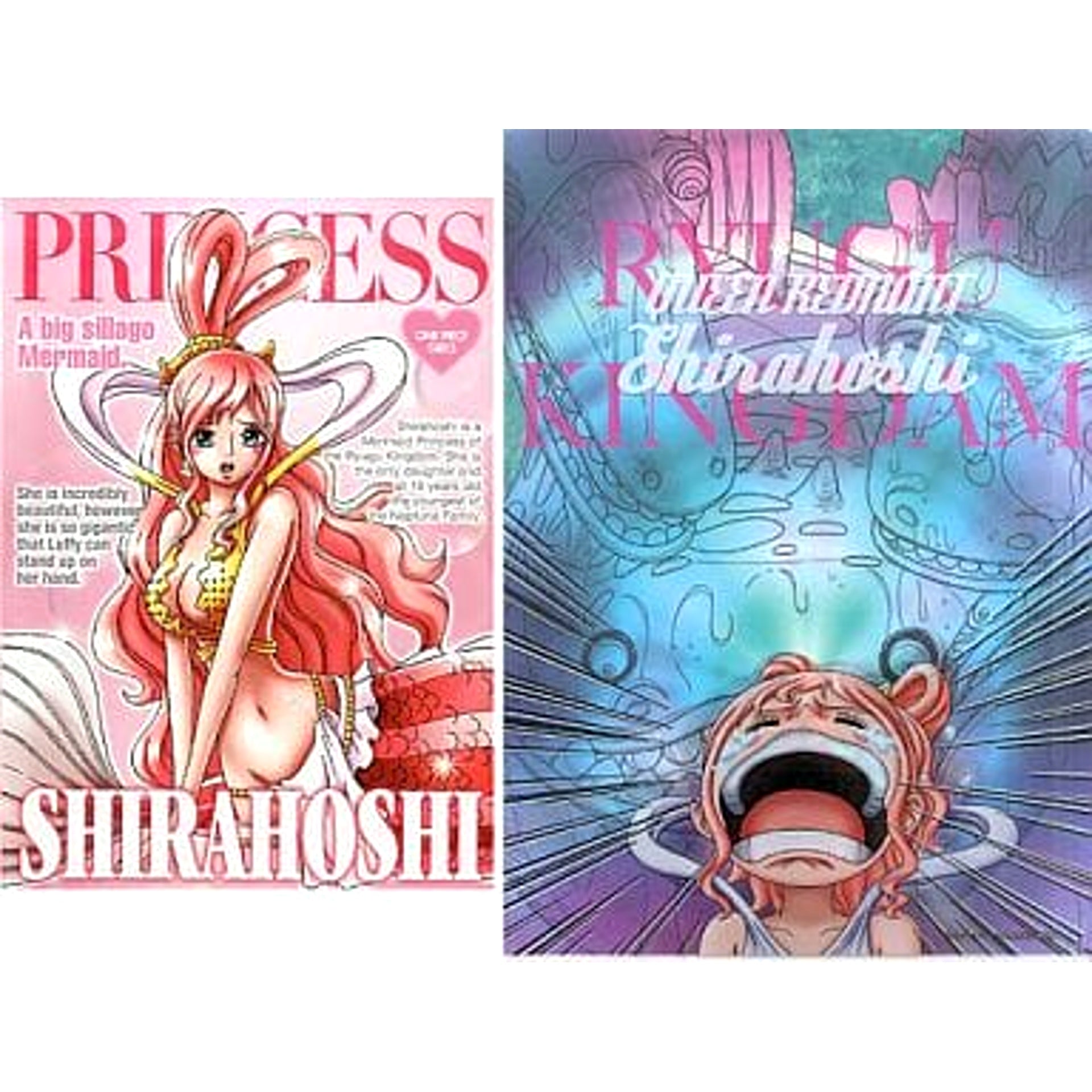 One Piece Shirahoshi Ichiban Kuji Girls Collection Notebook & Clear File Prize G [USED]