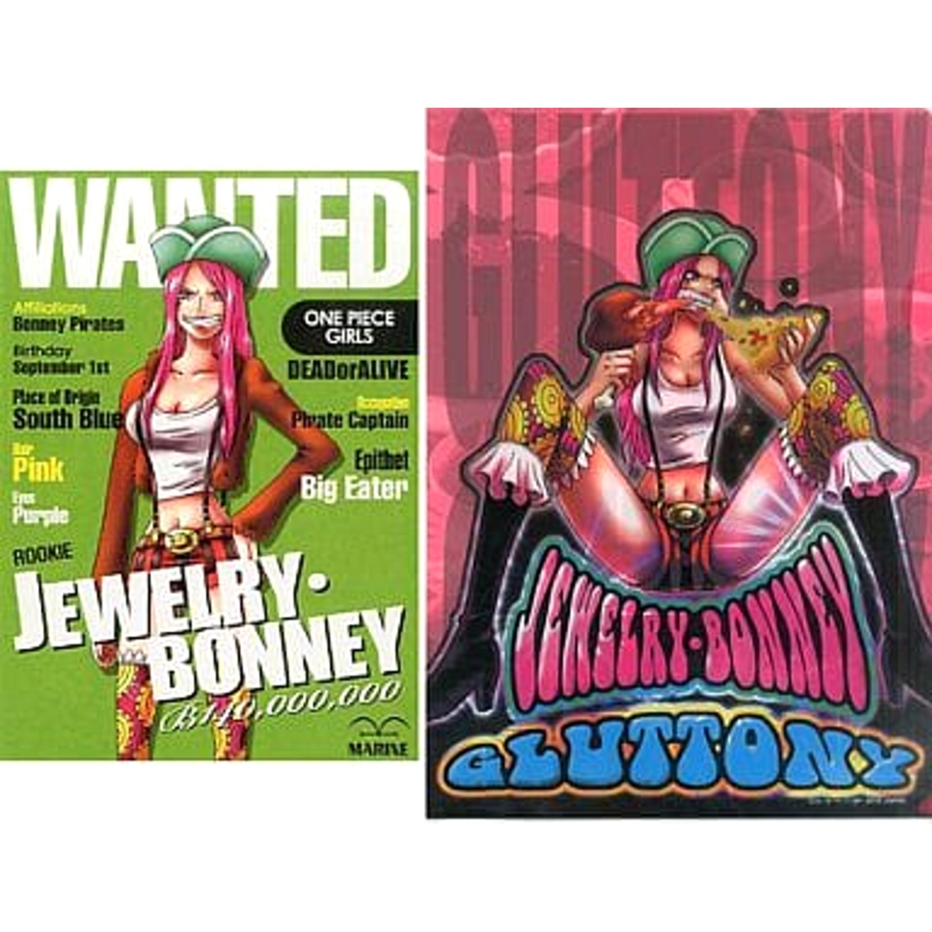 One Piece Jewelry Bonney Ichiban Kuji Girls Collection Notebook & Clear File Prize G [USED]