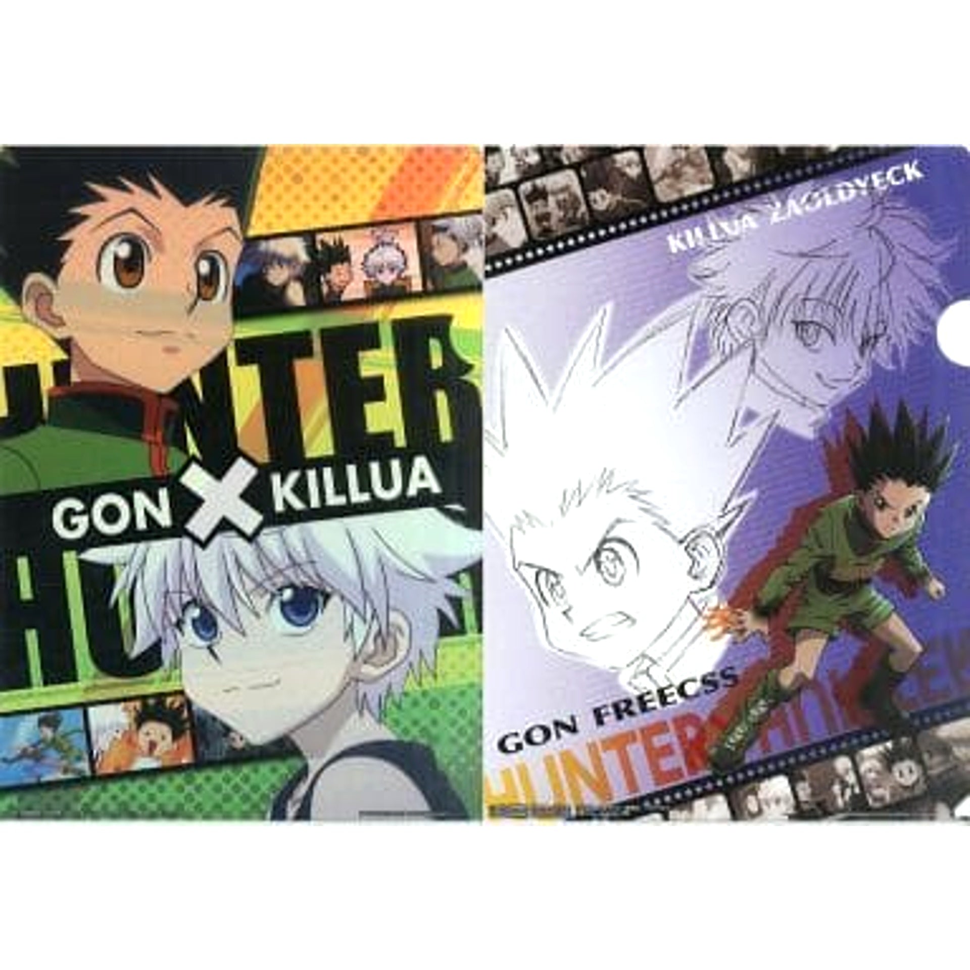 Hunter x Hunter Gon Killua D-3 Ichiban Kuji Scarlet Reminiscence A4 File Folder Set Prize D [USED]