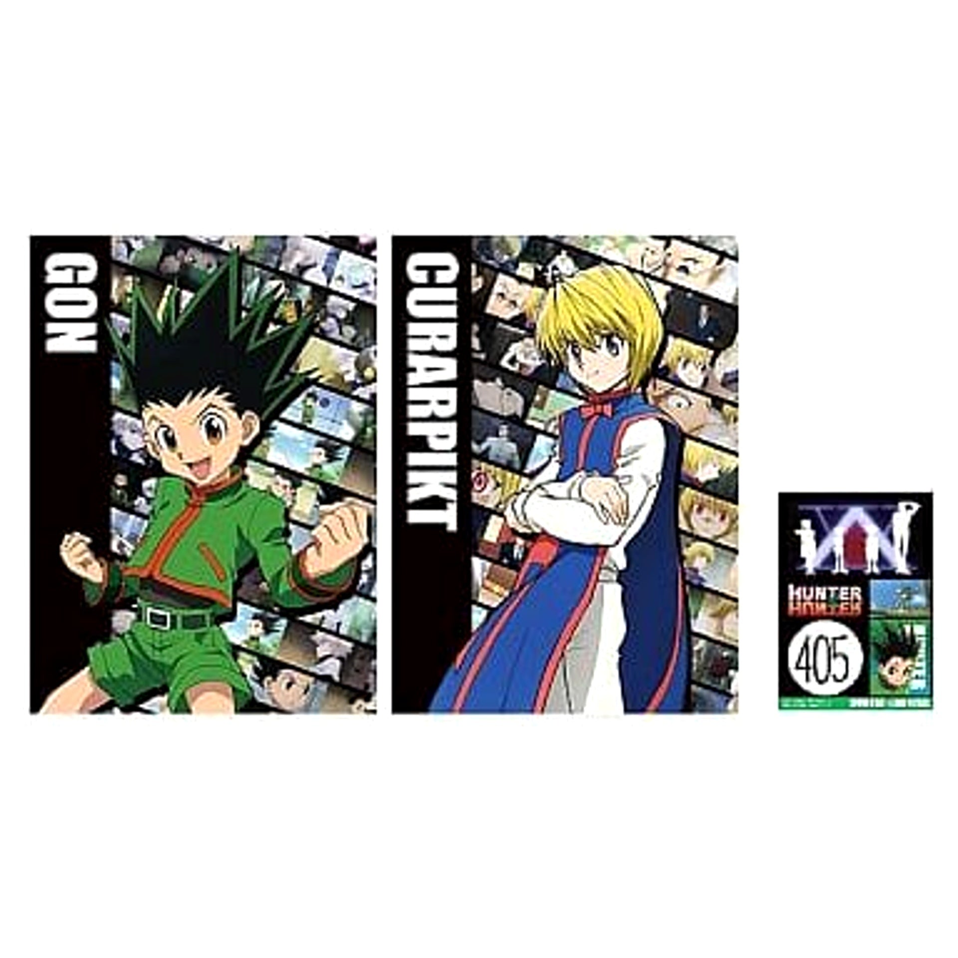 Hunter x Hunter Gon Freecss Ichiban Kuji Clear File Set Prize C [USED]