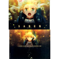 Saber Excalibur Single A4 Clear File F Prize Set of 5 Clear Files Ichiban Kuji Premium Fate/Zero PART2 [USED]