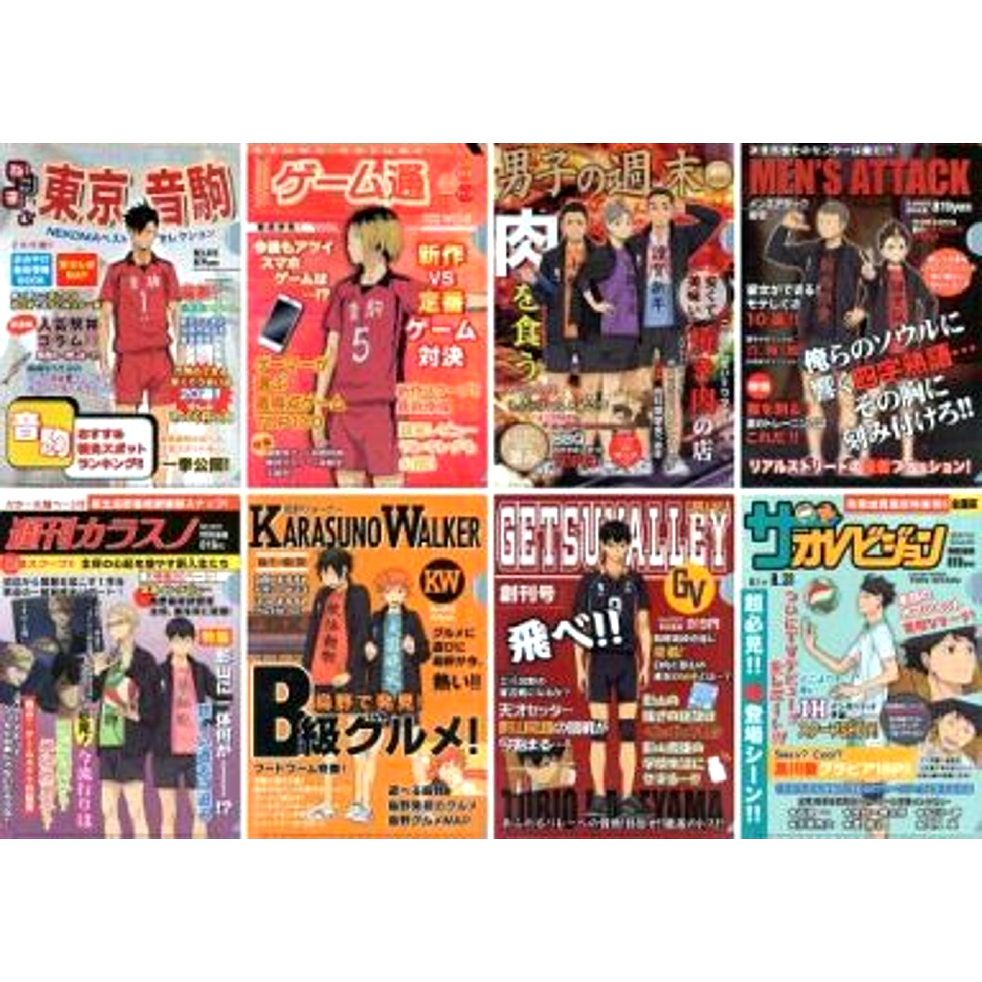 Set of 4 Set of 2 A4 Clear File Ani-Kuji Haikyu!! Summer is Number One! Volleyball Festival! E Prize [USED]