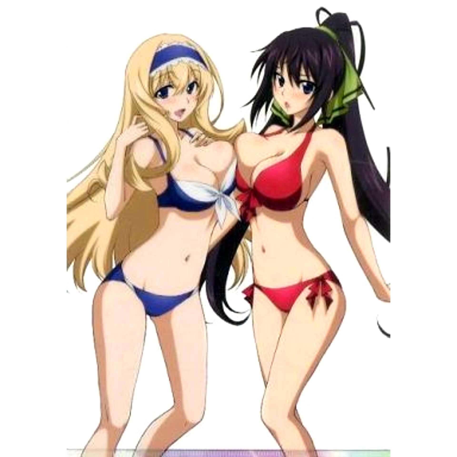 Houki Shinonono & Cecilia Alcott A4 Clear File IS Infinite Stratos Vol. 2 Monthly Sunday GX July 2014 / Sunday GX Label Comics Simultaneous Purchase Fair Bonus Item [USED]