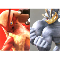 Pokken Tournament Blaziken Machamp Ichiban Kuji A4 File Folder Set Prize F [USED]