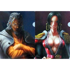 One Piece Rayleigh Hancock Ichiban Kuji THE GREAT GALLERY Reached The Top Portrait Clear File Set Prize G [USED]