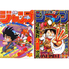Dragon Ball & One Piece Ichiban Kuji Weekly Shonen Jump 50th Anniversary A4 File Folder Set Prize G [USED]