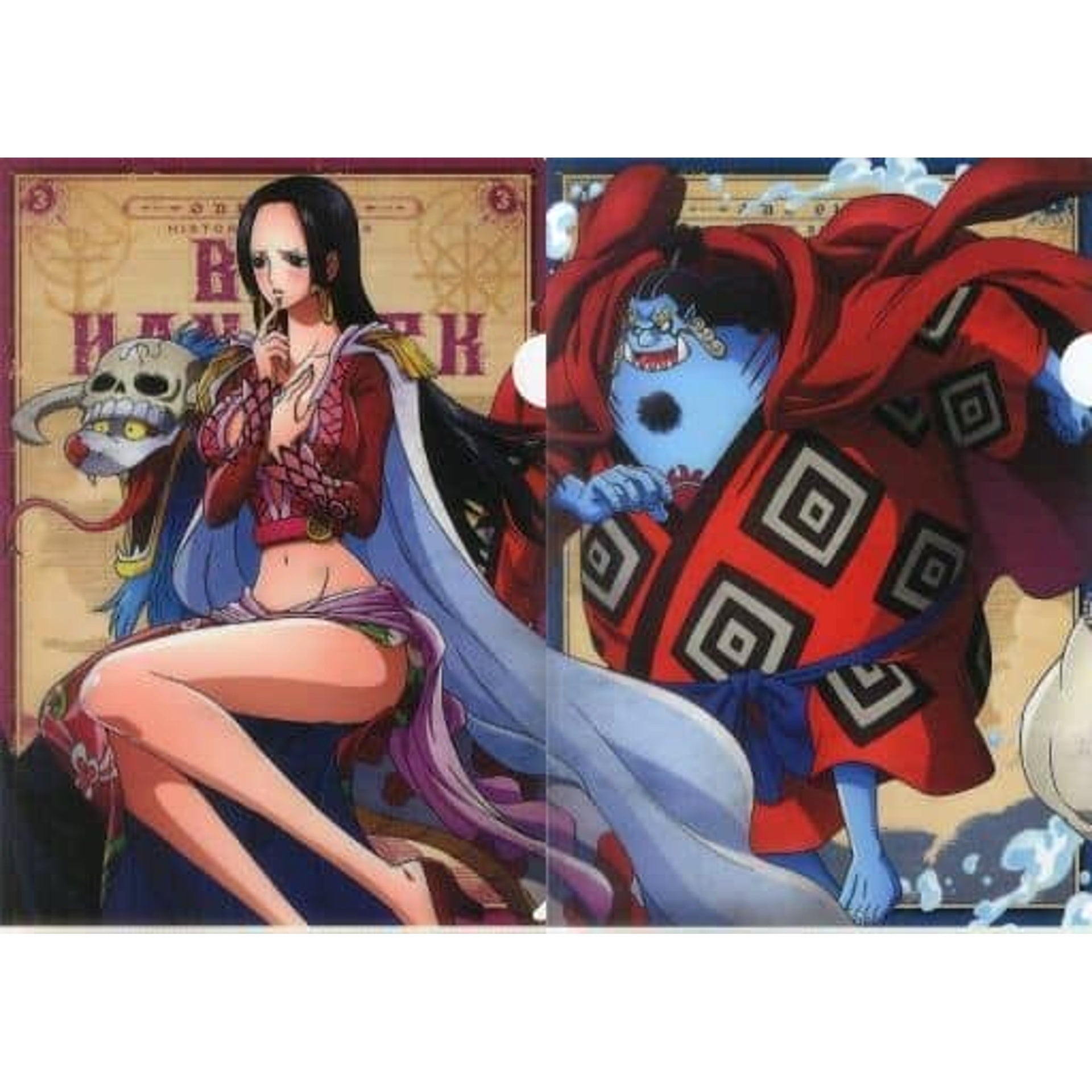 One Piece Hancock Jinbe Ichiban Kuji Memorial Log A4 Newly Illustrated Clear File Set History Relay Prize G [USED]