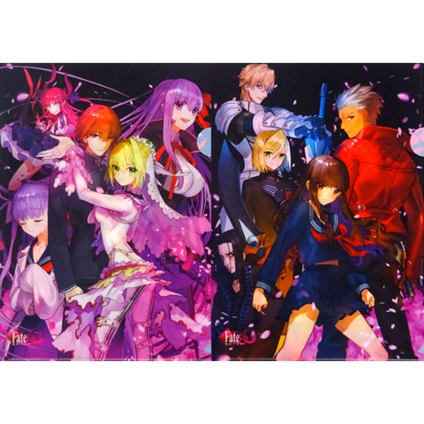 Set of 2 Fate/EXTRA CCC VOID LOG: BLOOM ECHO IV A4 Clear Files C96 Venue Purchase Bonus [USED]
