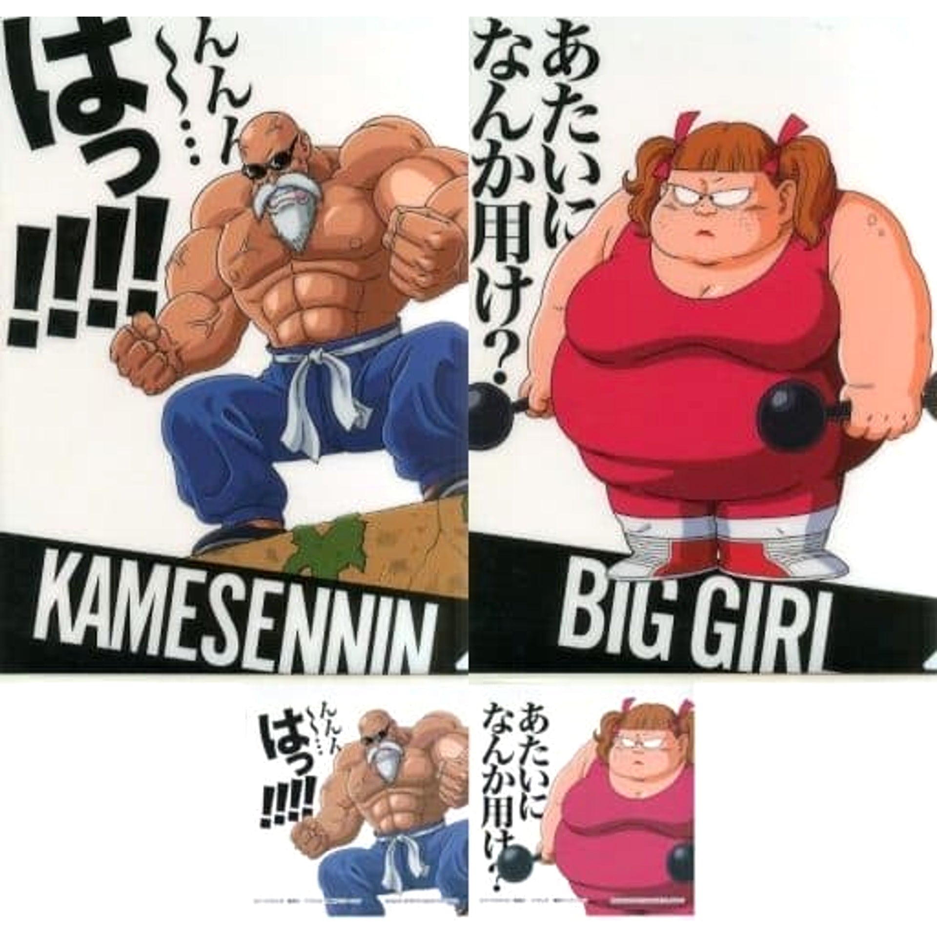 Dragon Ball Kame-Sennin Big Girl Ichiban Kuji Strong Chains!! Famous Quotes Clear File Set & Sticker Prize H [USED]