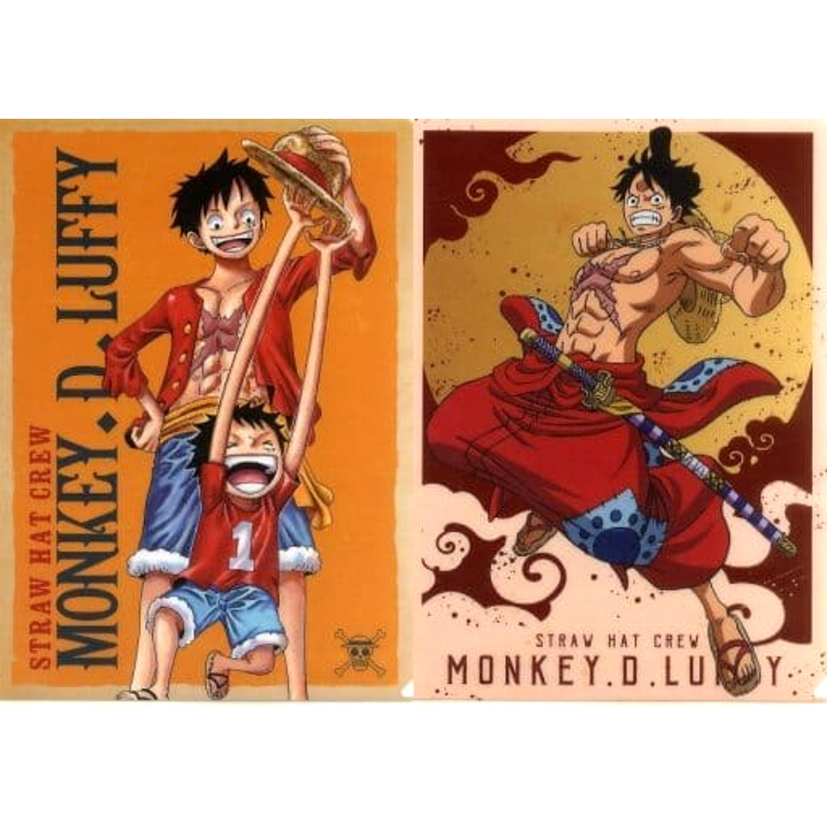 One Piece Monkey D. Luffy Ichiban Kuji Full Force A4 File Folder Set Day Collection Prize I [USED]