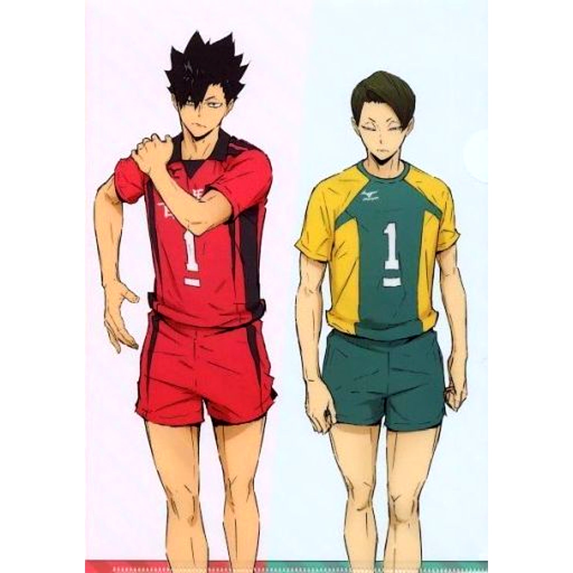 Tetsuro Kuroo & Suguru Daisho Illustration A4 Original Clear File OVA Haikyu!! Land vs. Air Amazon Bonus Item [USED]