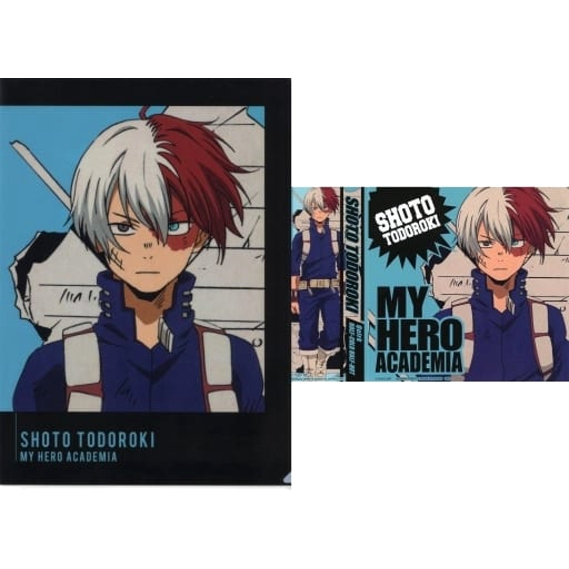 My Hero Academia Shoto Todoroki Ichiban Kuji Get a Chance! A4 Clear File & Sticker Set Prize H [USED]