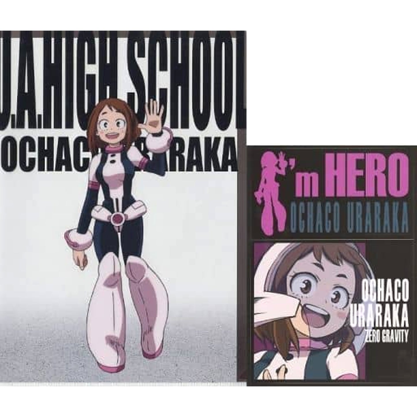 My Hero Academia Ochaco Uraraka Ichiban Kuji HERO VS VILLAINS Clear File & Sticker Set Prize I [USED]