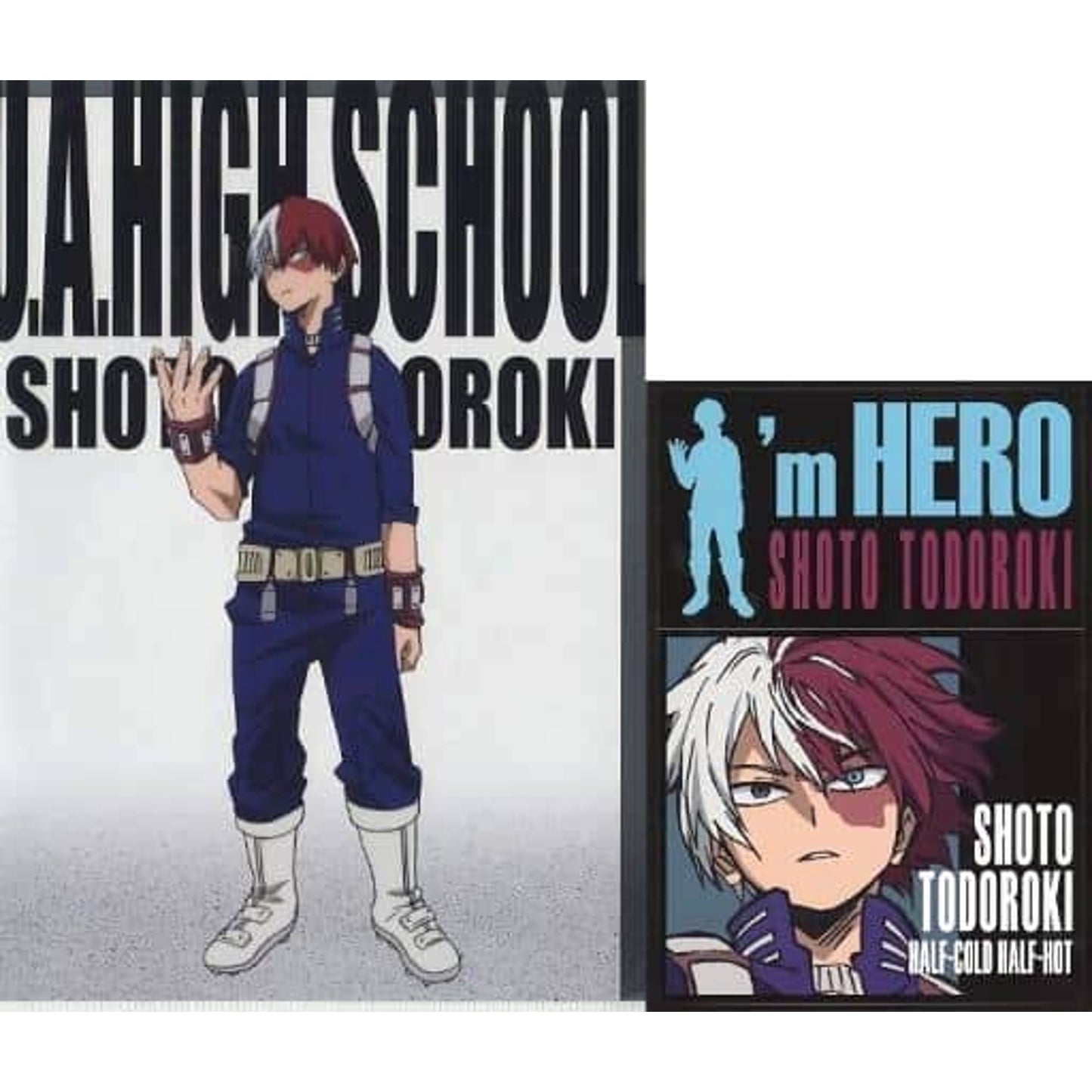 My Hero Academia Shoto Todoroki Ichiban Kuji HERO VS VILLAINS Clear File & Sticker Set Prize I [USED]