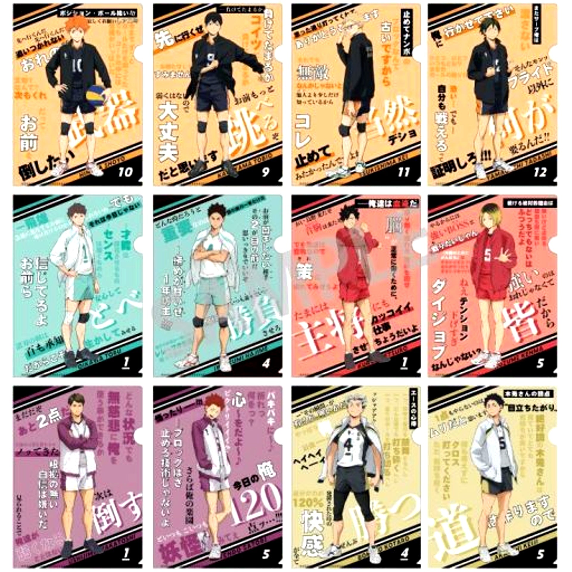 Set of 12 Haikyu!! A4 Trading Quote Clear File [USED]