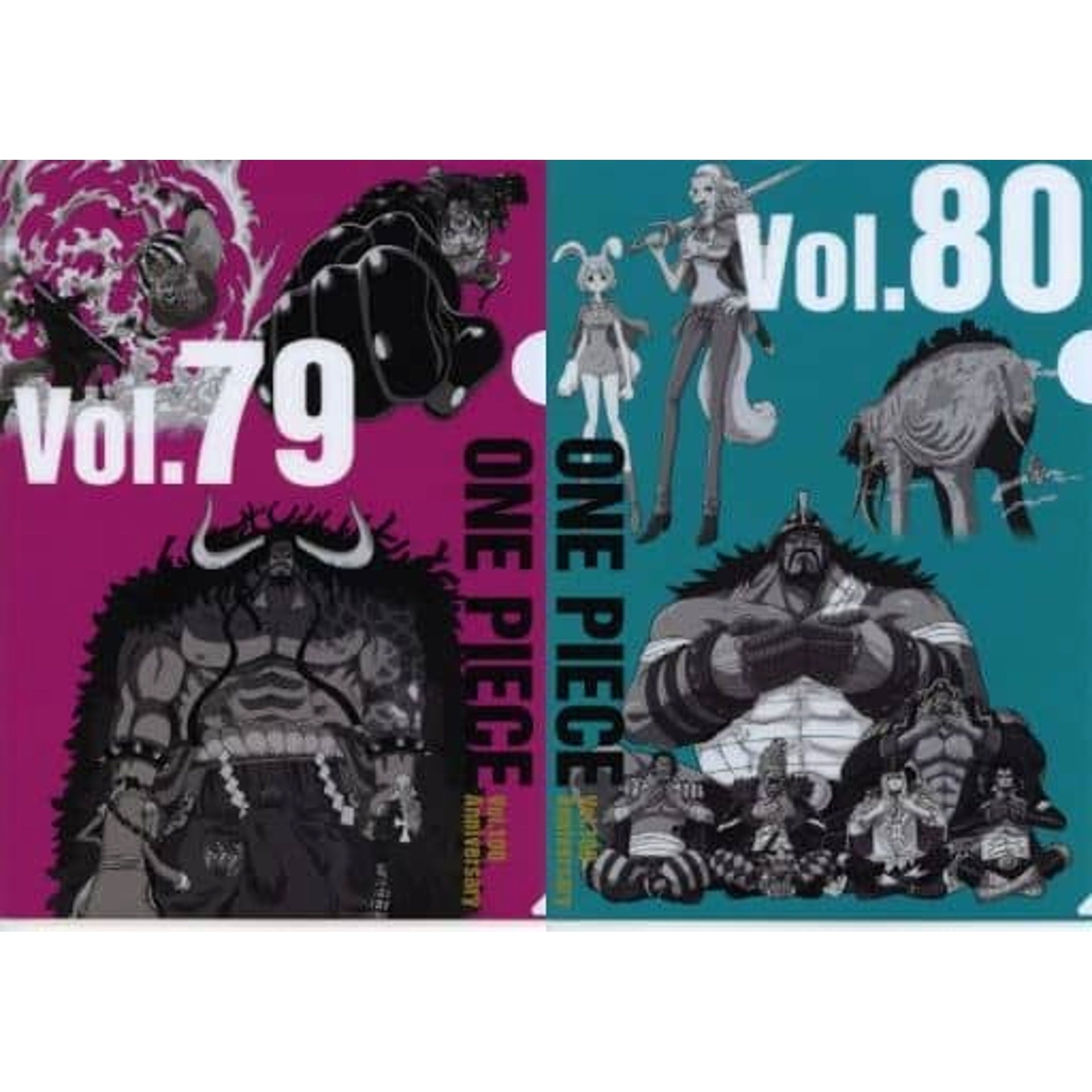 One Piece Vol.79&80 Ichiban Kuji WT100 Memorial Drawing By Eiichiro Oda Hundred Views Of Great Pirates A4 History Clear File Set Prize K [USED]