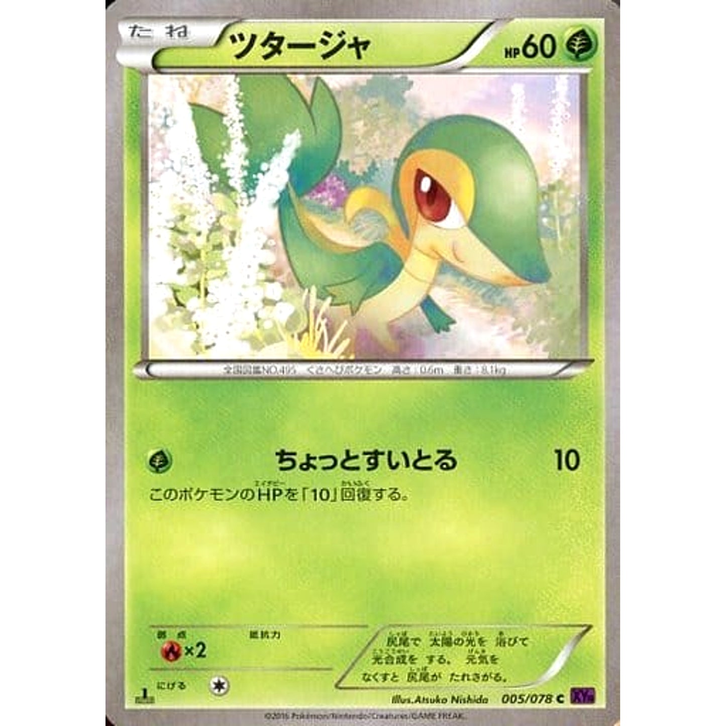 Pokemon Snivy C 005/078 XY10 Awakening Psychic King Japanese Pokemon Card [USED]