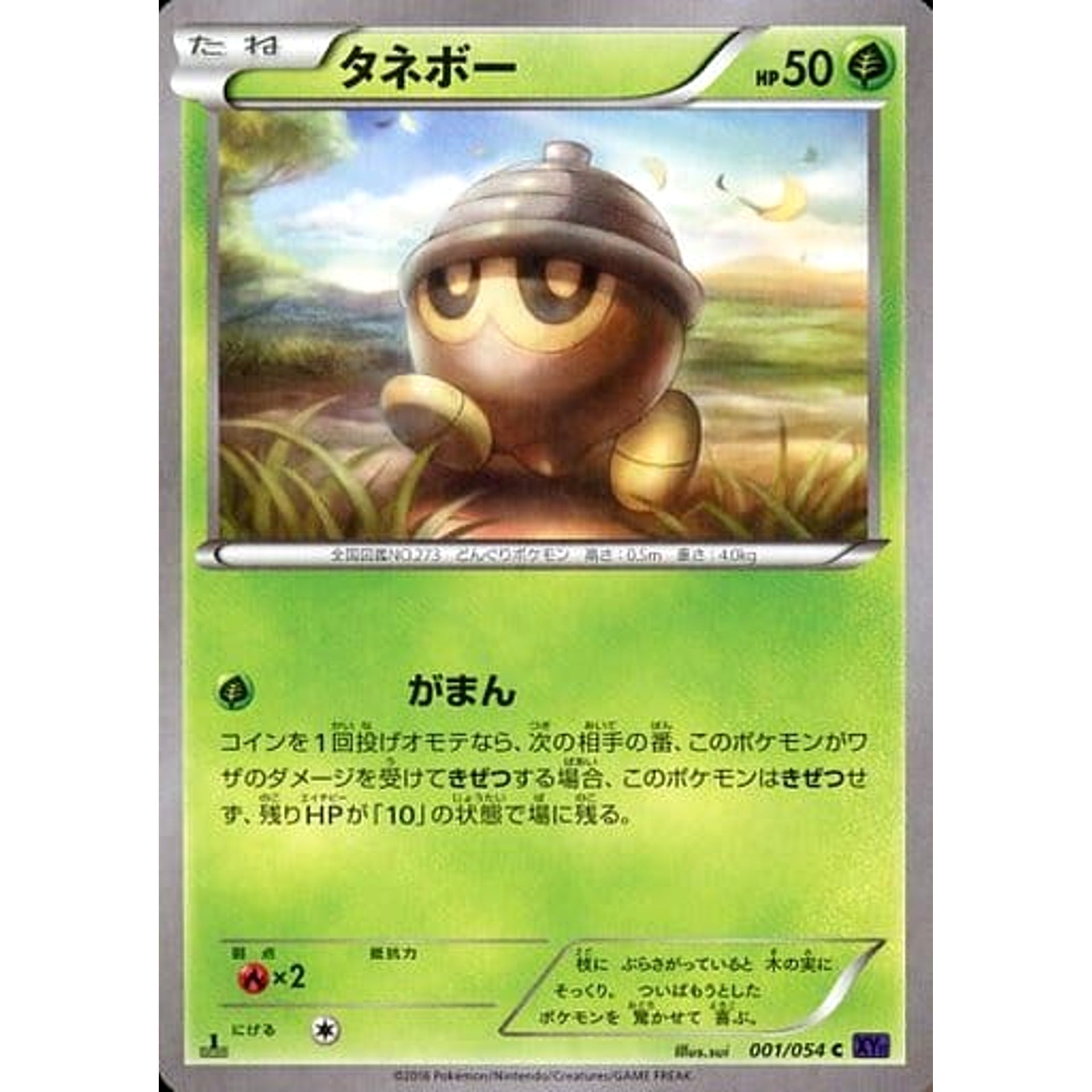 Pokemon Seedot C 001/054 XY11 Fever-Burst Fighter Japanese Pokemon Card [USED]