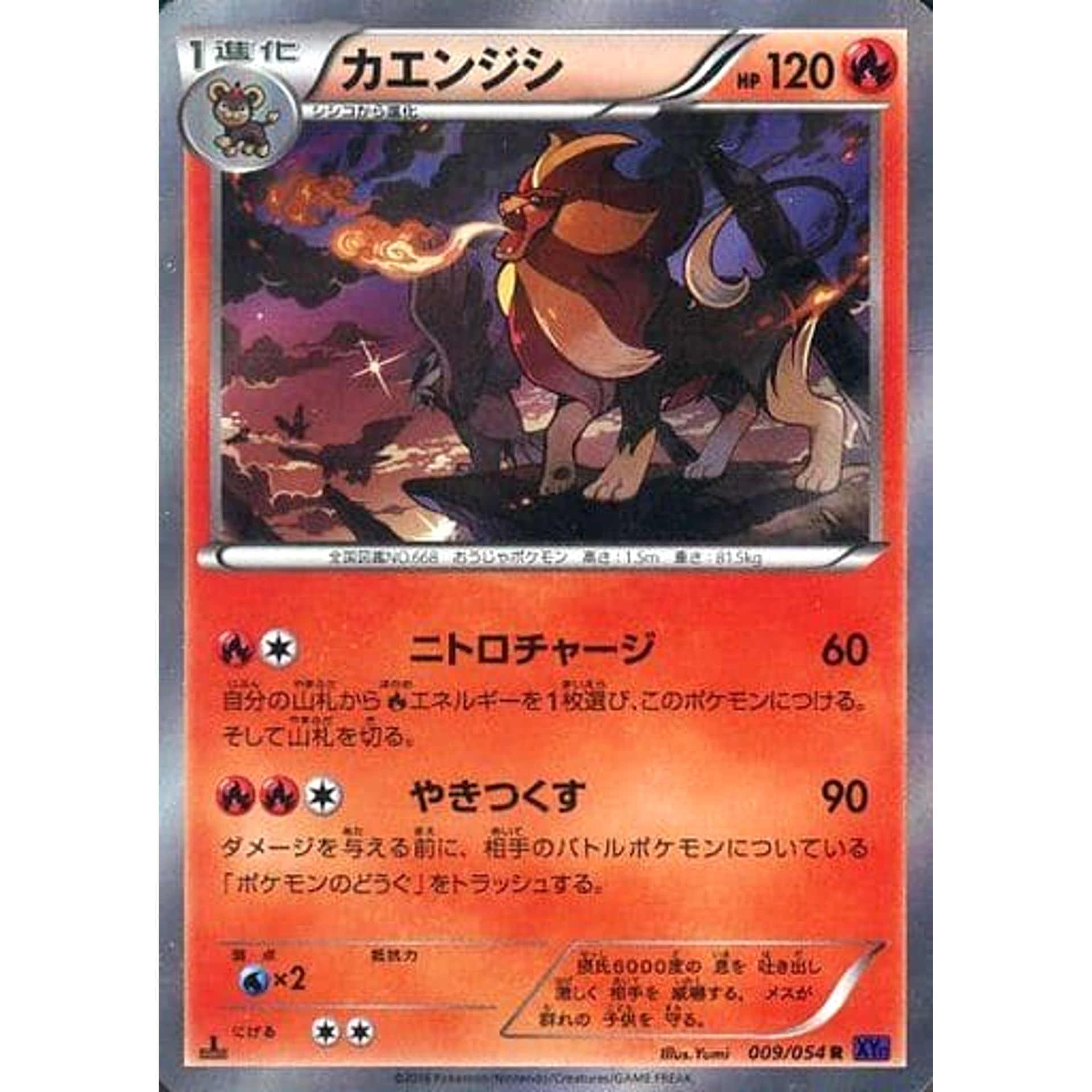 Pokemon Pyroar Holo R 009/054 XY11 Fever-Burst Fighter Japanese Pokemon Card [USED]