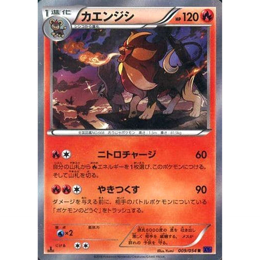 Pokemon Pyroar Holo R 009/054 XY11 Fever-Burst Fighter Japanese Pokemon Card [USED]