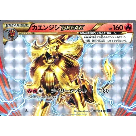 Pokemon Pyroar Holo RR 010/054 XY11 Fever-Burst Fighter Japanese Pokemon Card [USED]
