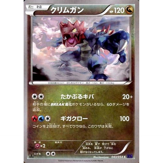 Pokemon Druddigon C 043/054 XY11 Fever-Burst Fighter Japanese Pokemon Card [USED]