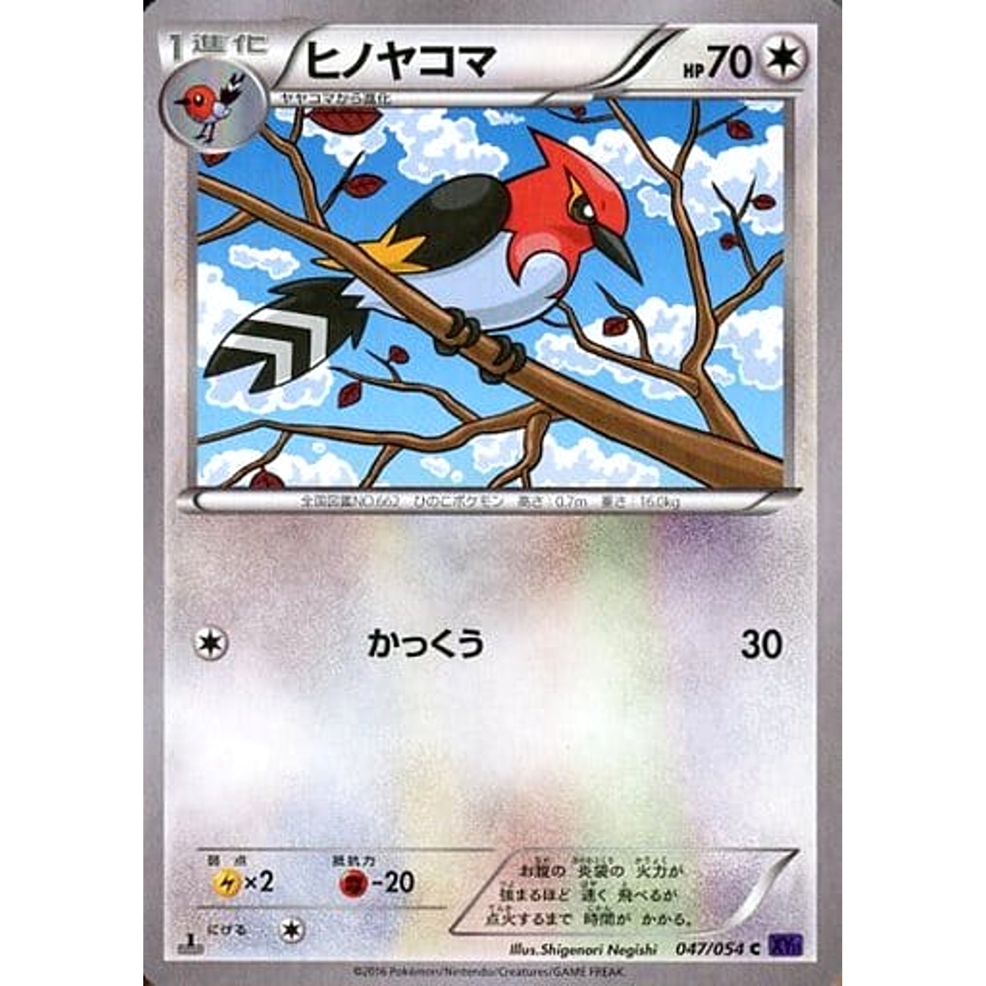 Pokemon Fletchinder C 047/054 XY11 Fever-Burst Fighter Japanese Pokemon Card [USED]