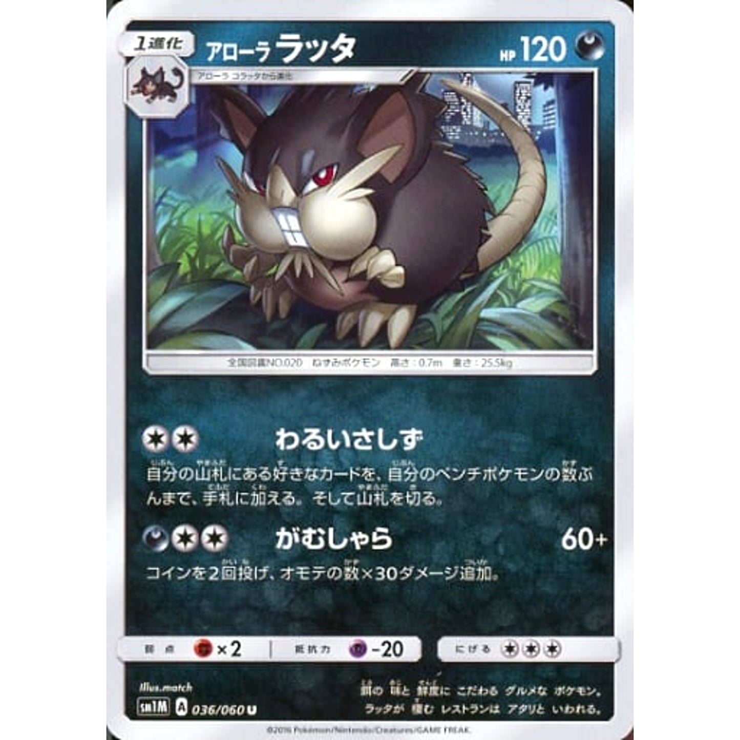 Pokemon Alolan Raticate U 036/060 SM1M Collection Moon Japanese Pokemon Card [USED]