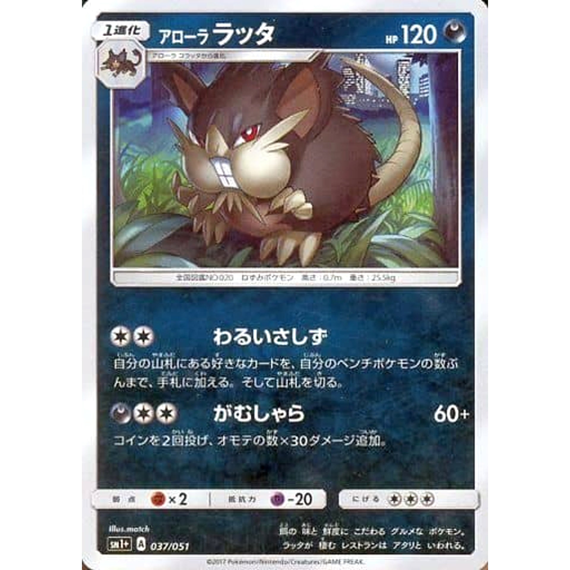 Pokemon Alolan Raticate Holo 037/051 SM1+ Sun & Moon Japanese Pokemon Card [USED]