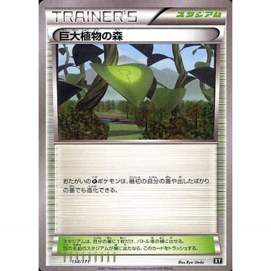 Pokemon Forest of Giant Plants 154/171 XY The Best of XY Japanese Pokemon Card [USED]