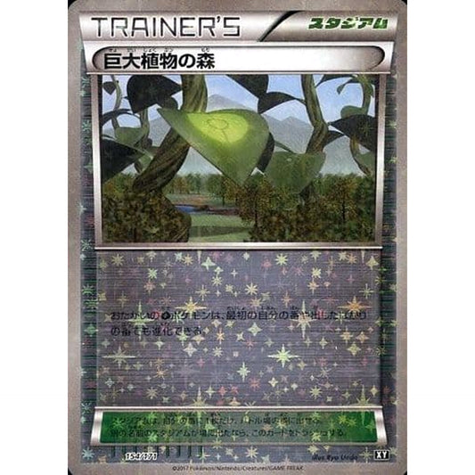 Pokemon Forest of Giant Plants Reverse Holo 154/171 XY The Best of XY Japanese Pokemon Card [USED]