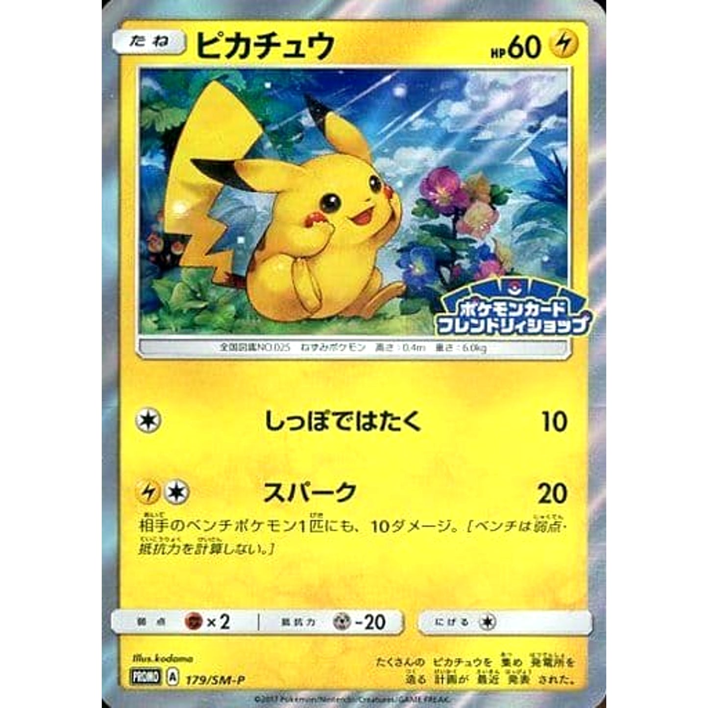 Pokemon Pikachu Holo Promo 179/SM-P Promotion Card SM-P Japanese Pokemon Card [USED]