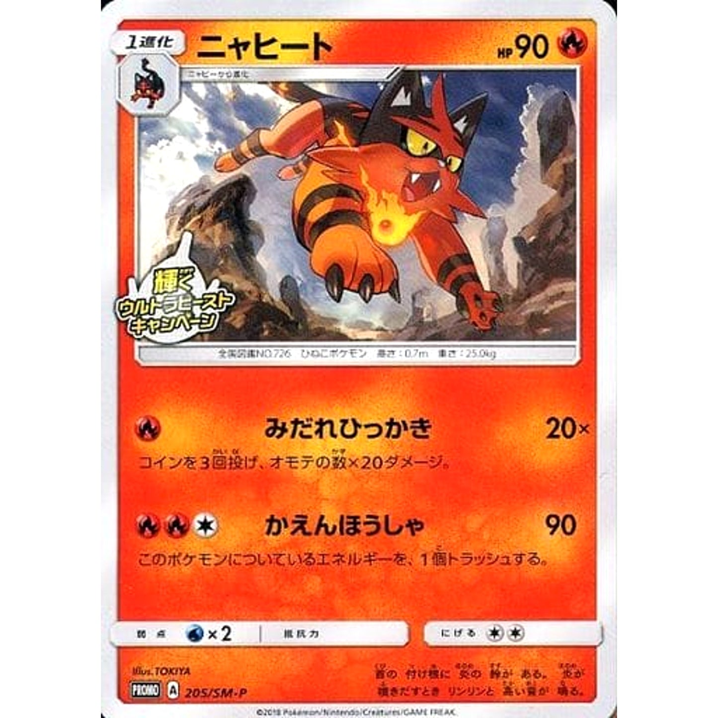 Pokemon Torracat Promo 205/SM-P Promotion Card SM-P Japanese Pokemon Card [USED]