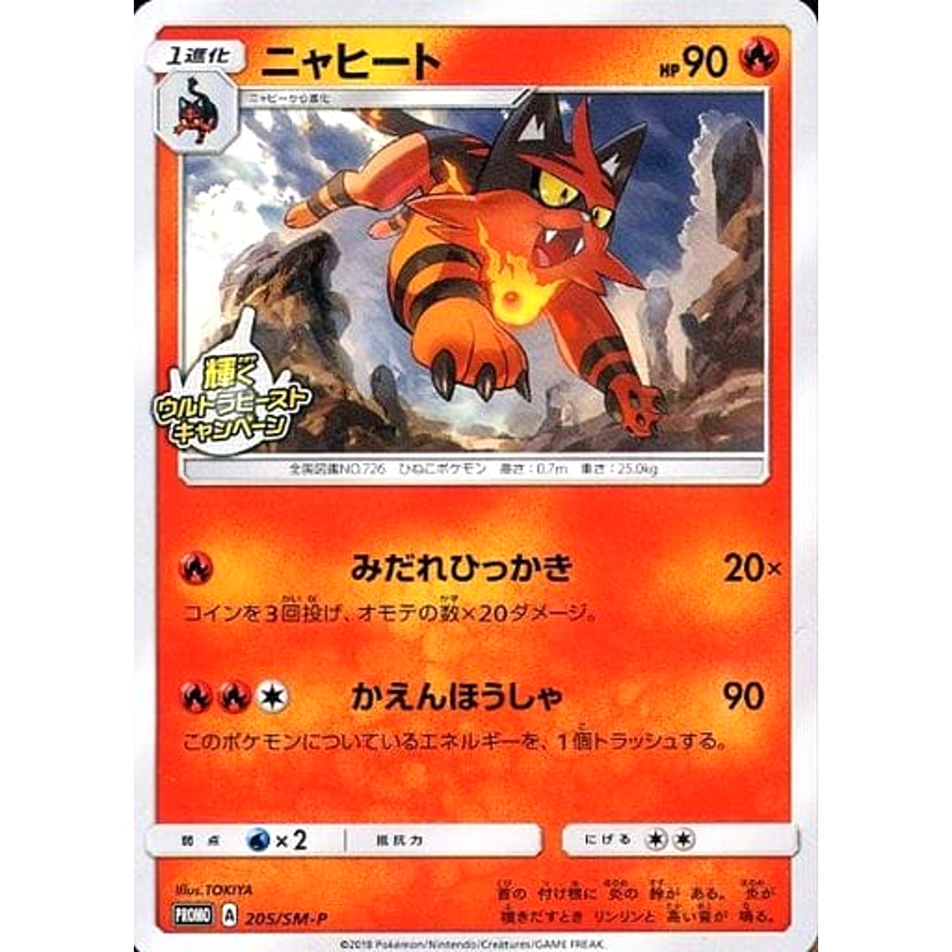 Pokemon Torracat Promo 205/SM-P Promotion Card SM-P Japanese Pokemon Card [USED]