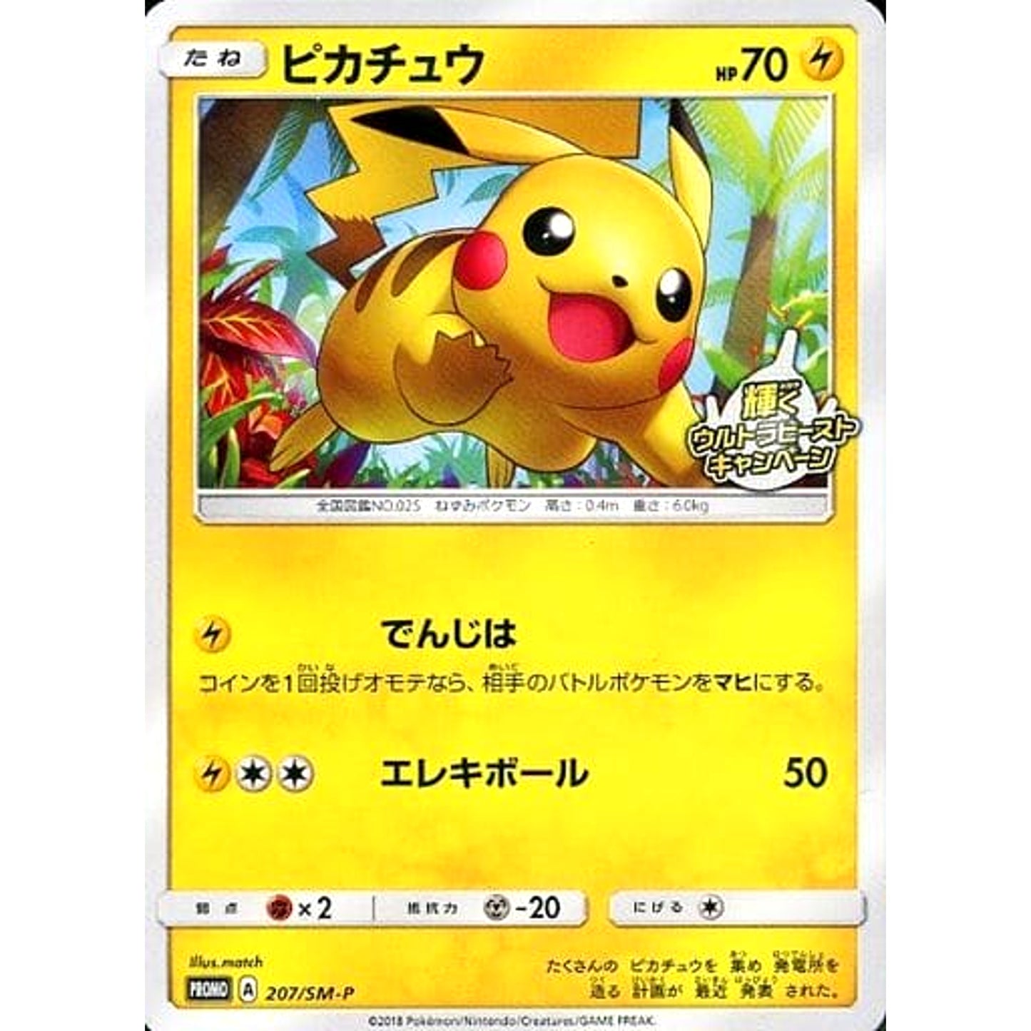 Pokemon Pikachu Promo 207/SM-P Promotion Card SM-P Japanese Pokemon Card [USED]