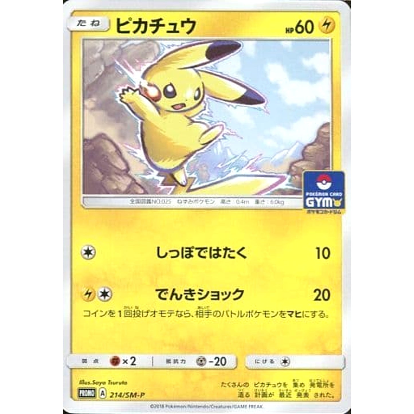 Pokemon Pikachu Promo 214/SM-P Promotion Card SM-P Japanese Pokemon Card [USED]