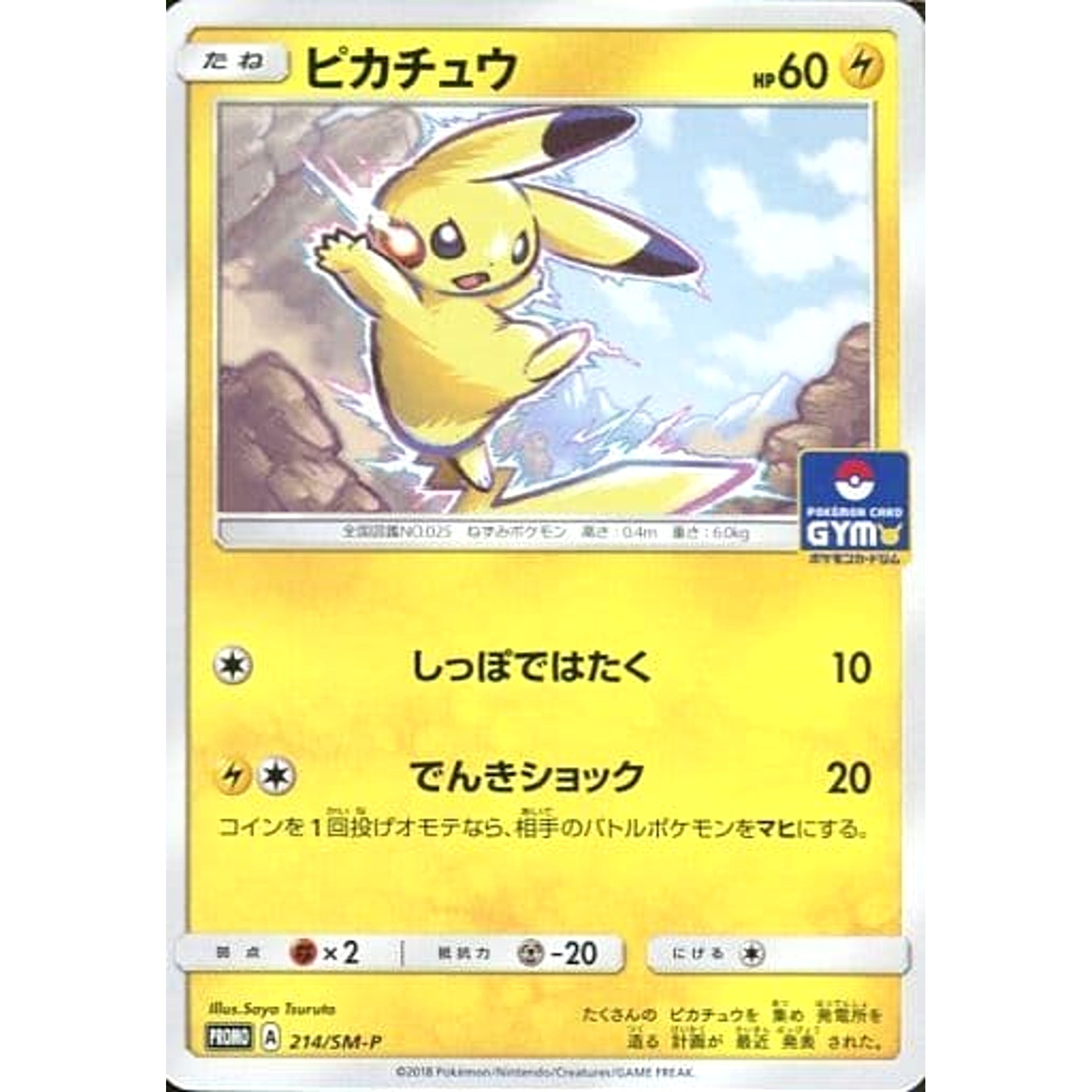 Pokemon Pikachu Promo 214/SM-P Promotion Card SM-P Japanese Pokemon Card [USED]
