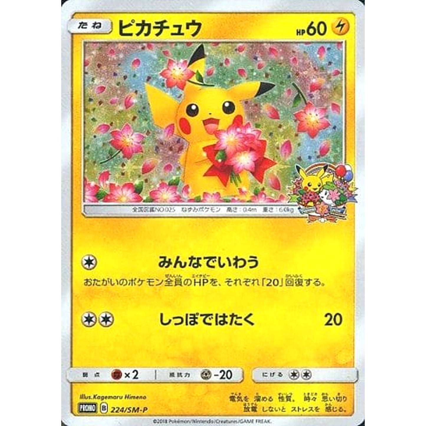 Pokemon Pikachu Promo 224/SM-P Promotion Card SM-P Japanese Pokemon Card [USED]