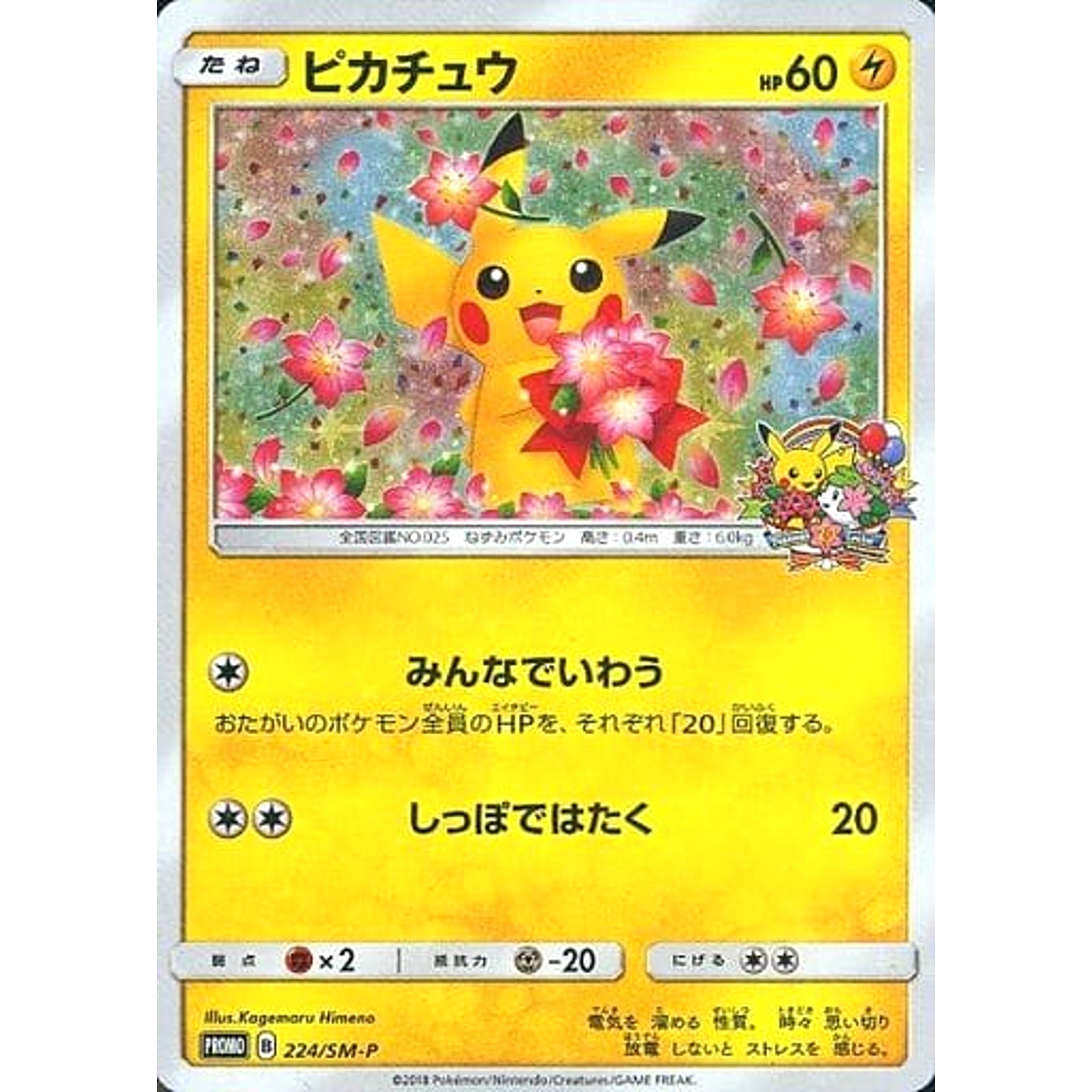 Pokemon Pikachu Promo 224/SM-P Promotion Card SM-P Japanese Pokemon Card [USED]