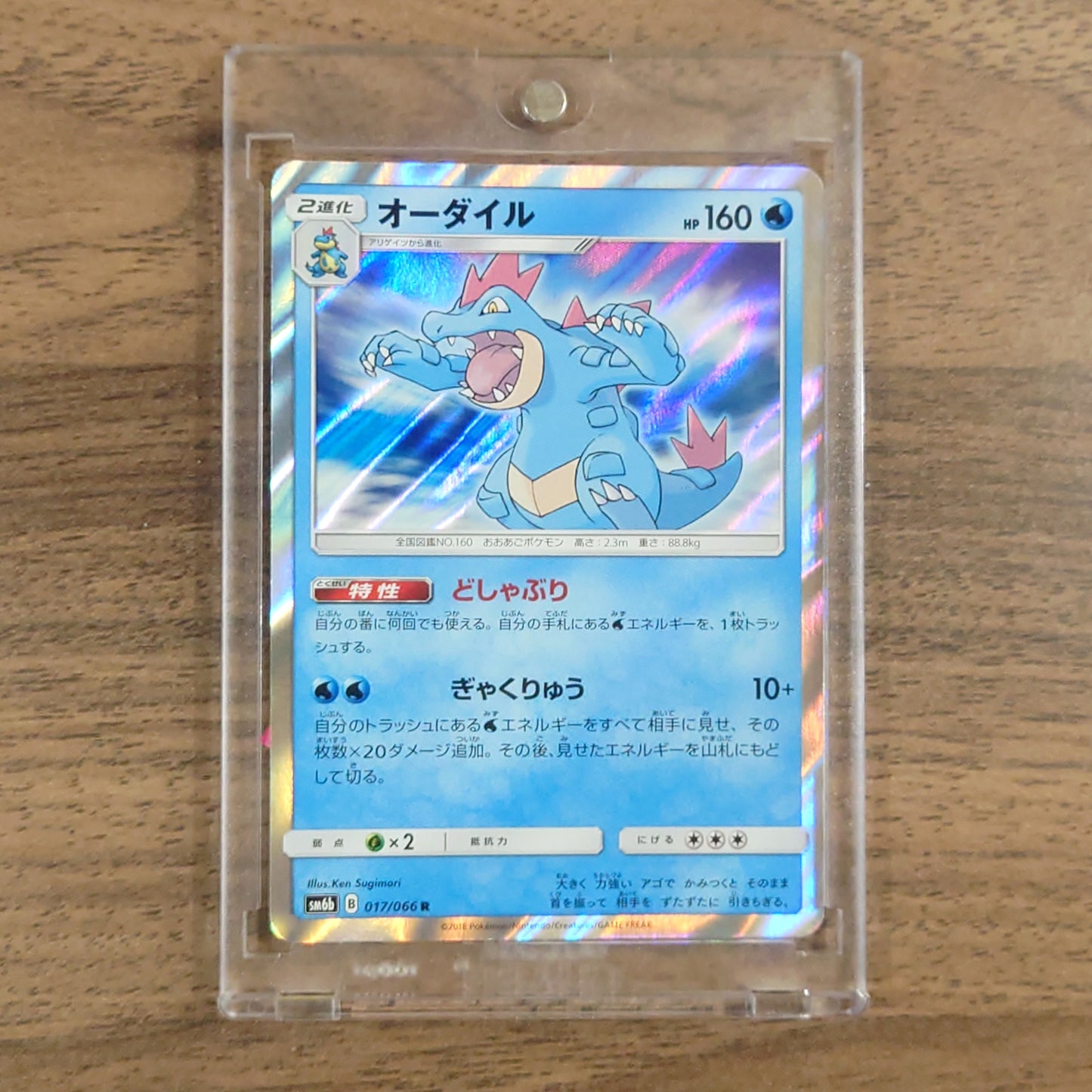 Feraligatr Holo R 017/066 SM6b Champion Road Japanese Pokemon Card [USED]