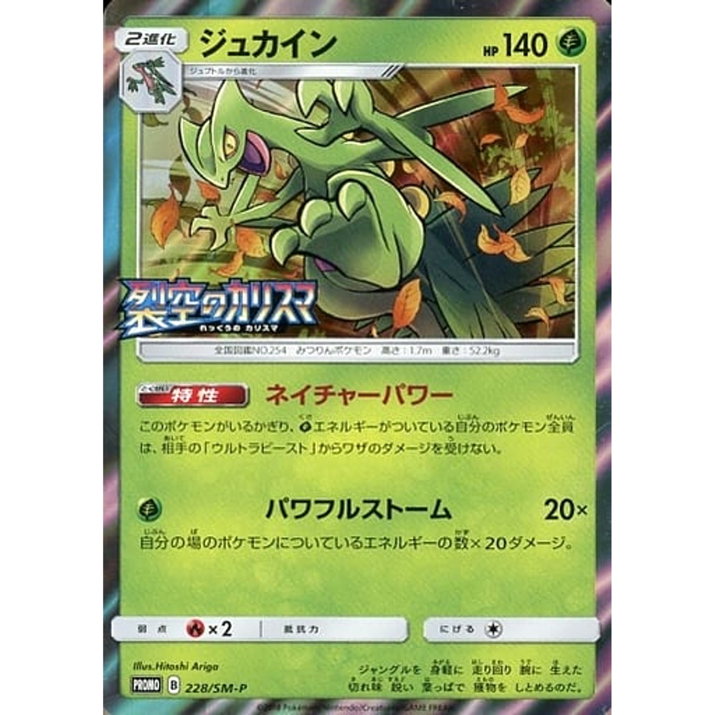 Pokemon Sceptile Holo Promo 228/SM-P Promotion Card SM-P Japanese Pokemon Card [USED]