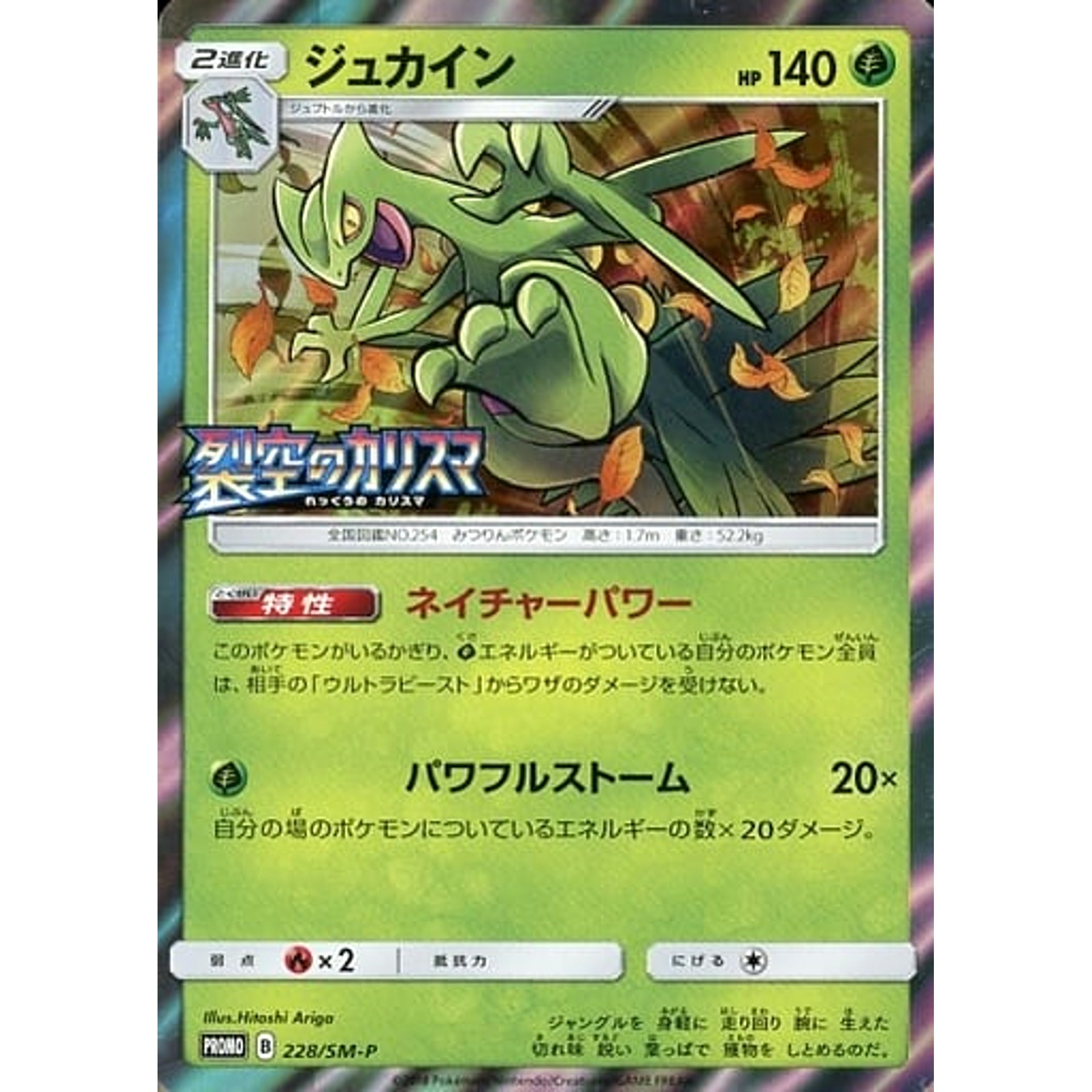 Pokemon Sceptile Holo Promo 228/SM-P Promotion Card SM-P Japanese Pokemon Card [USED]