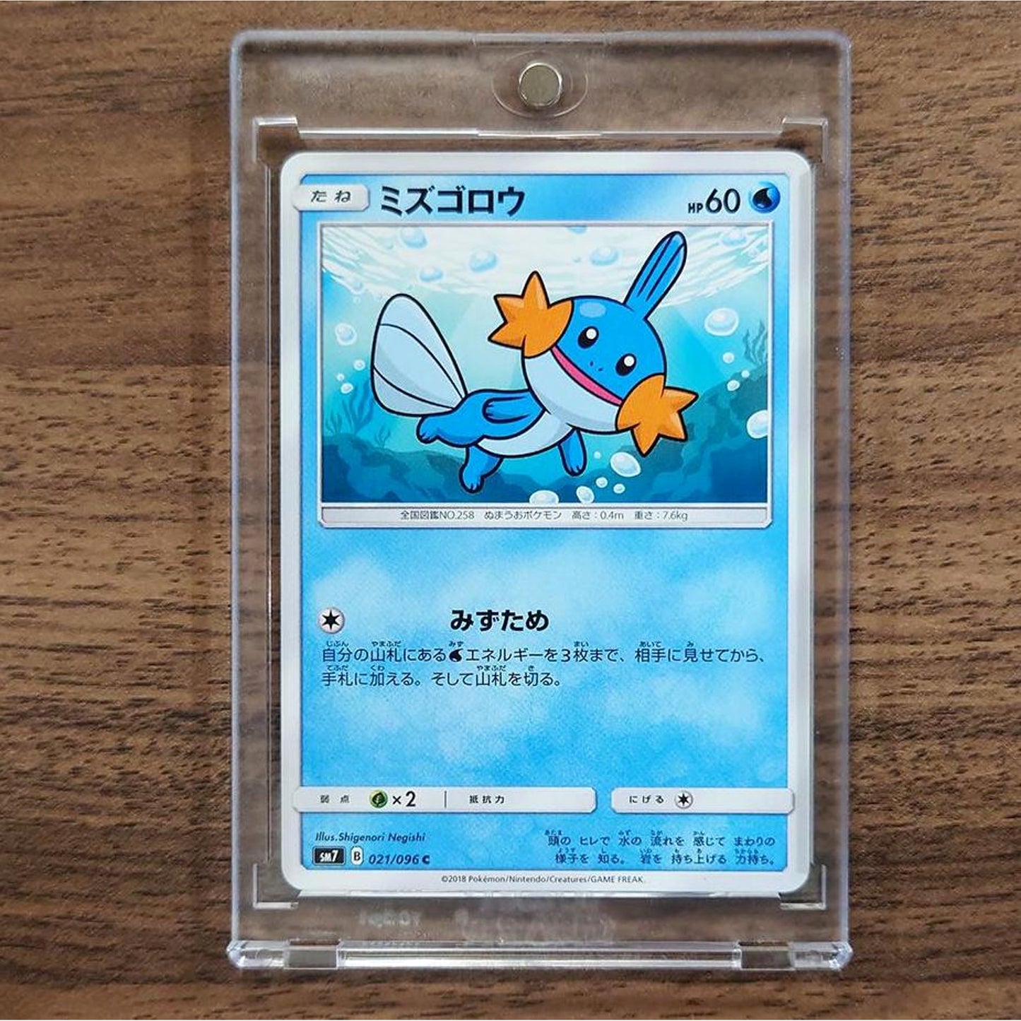 Mudkip C 021/096 SM7 Sky-Splitting Charisma Japanese Pokemon Card [USED]